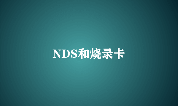 NDS和烧录卡