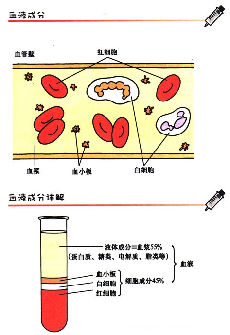 血浆无机盐的生理作用包括哪些