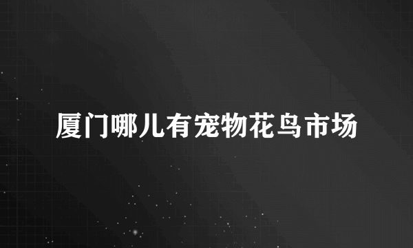 厦门哪儿有宠物花鸟市场