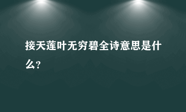 接天莲叶无穷碧全诗意思是什么？
