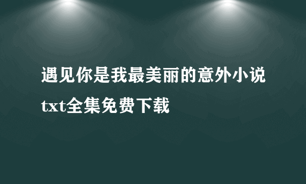 遇见你是我最美丽的意外小说txt全集免费下载