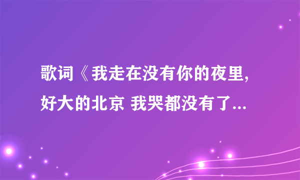 歌词《我走在没有你的夜里,好大的北京 我哭都没有了声音》 问这个歌曲的名字叫什么？