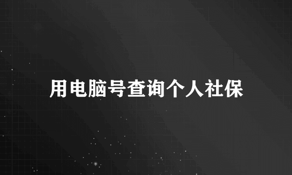 用电脑号查询个人社保
