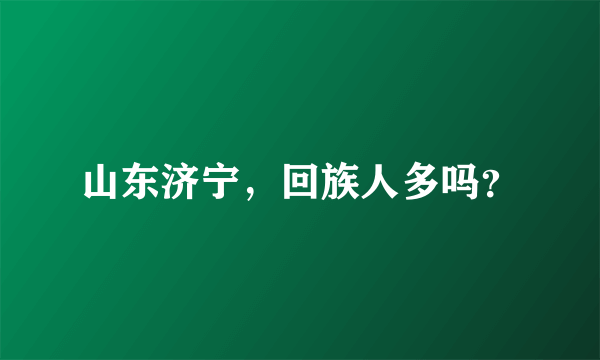 山东济宁，回族人多吗？