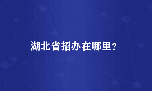 湖北省招办在哪里？