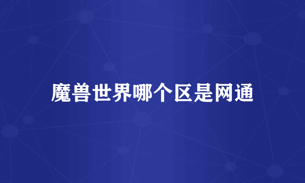 魔兽世界哪个区是网通