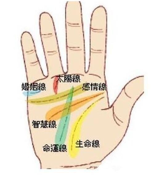 怎样从手相看婚姻幸福？