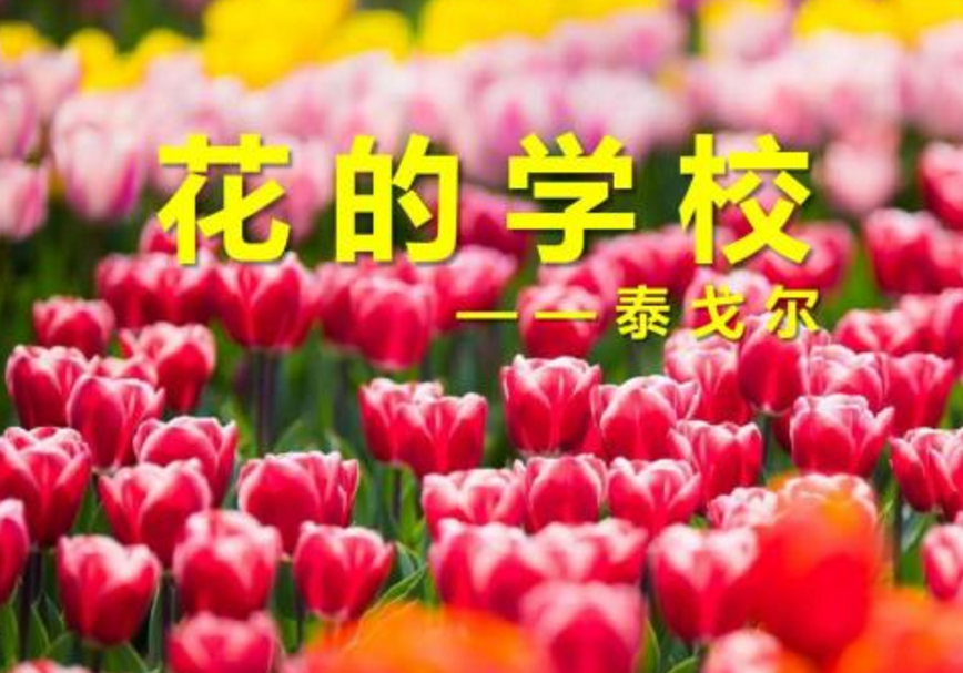 一群一群的花丛无人知道的地方突然跑出来，在绿草上跳舞、狂欢读着这句话，我脑海中浮现出了什么画面？