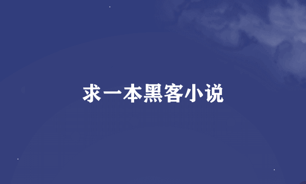 求一本黑客小说