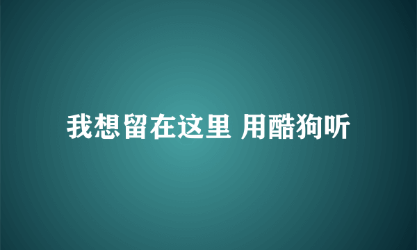 我想留在这里 用酷狗听