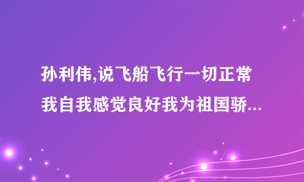 孙利伟,说飞船飞行一切正常我自我感觉良好我为祖国骄傲说说你是怎么理解这些？