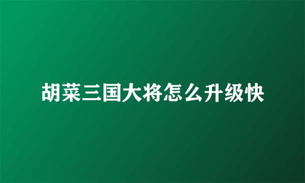 胡菜三国大将怎么升级快
