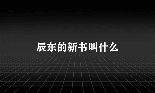 辰东的新书叫什么