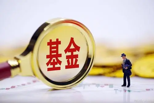 基金在哪里可以看季报和年报？