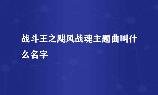 战斗王之飓风战魂主题曲叫什么名字