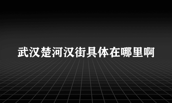 武汉楚河汉街具体在哪里啊