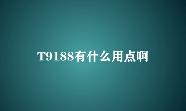T9188有什么用点啊