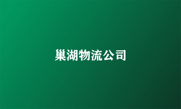 巢湖物流公司