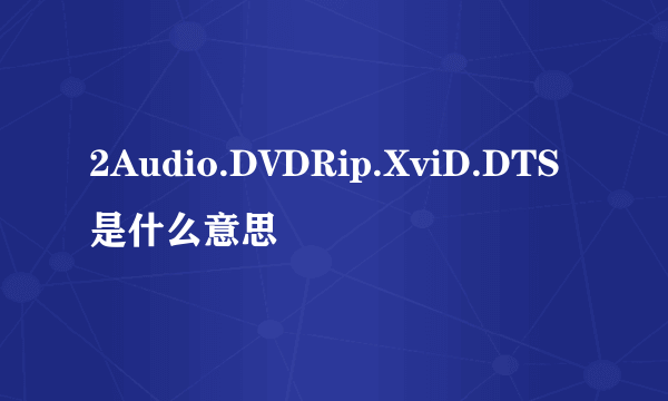 2Audio.DVDRip.XviD.DTS 是什么意思