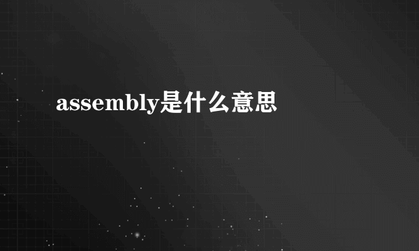 assembly是什么意思