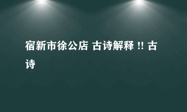 宿新市徐公店 古诗解释 !! 古诗