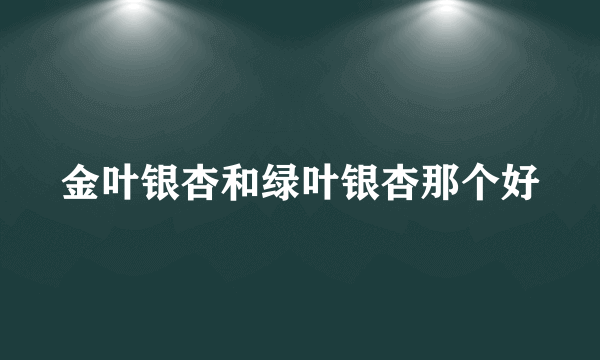 金叶银杏和绿叶银杏那个好