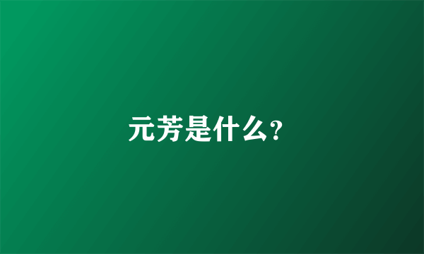 元芳是什么？