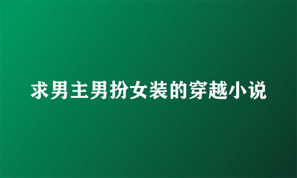 求男主男扮女装的穿越小说