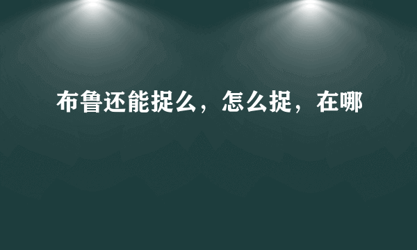 布鲁还能捉么，怎么捉，在哪