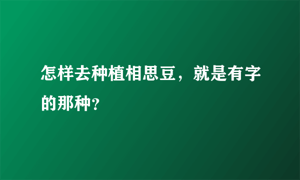 怎样去种植相思豆，就是有字的那种？