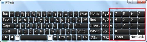 笔记本电脑怎么开启小数字键？