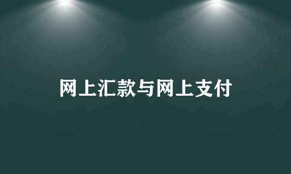 网上汇款与网上支付
