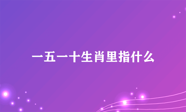 一五一十生肖里指什么