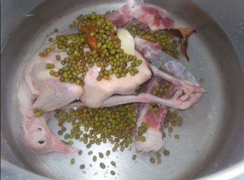 乳鸽绿豆汤怎么做