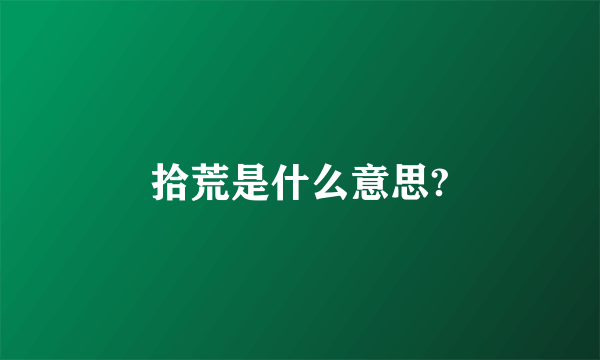 拾荒是什么意思?