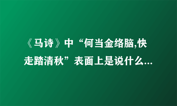 《马诗》中“何当金络脑,快走踏清秋”表面上是说什么,实际上是表达什么？