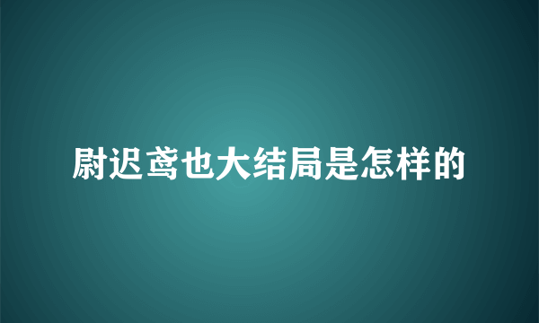 尉迟鸢也大结局是怎样的