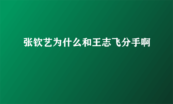 张钦艺为什么和王志飞分手啊
