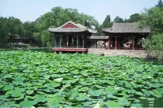 畅春园在今天的哪里