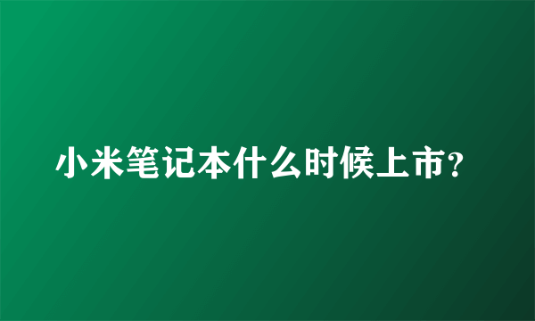 小米笔记本什么时候上市？