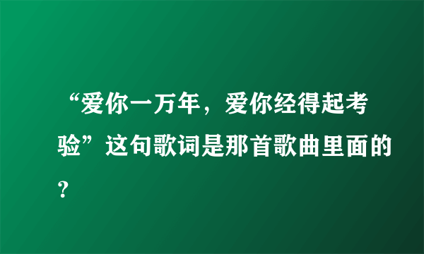 “爱你一万年，爱你经得起考验”这句歌词是那首歌曲里面的？