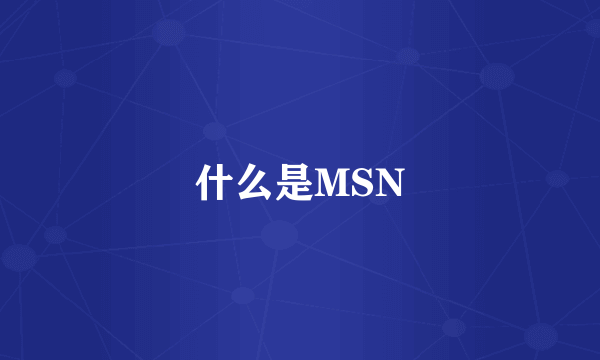 什么是MSN