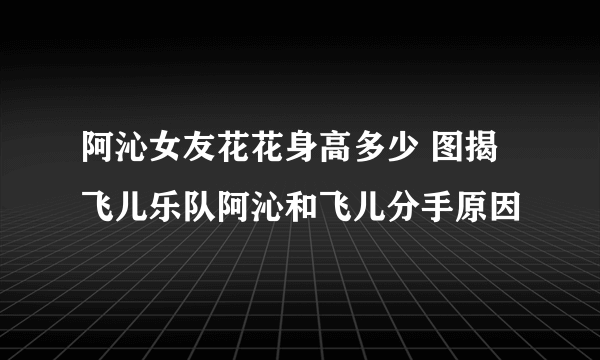 阿沁女友花花身高多少 图揭飞儿乐队阿沁和飞儿分手原因