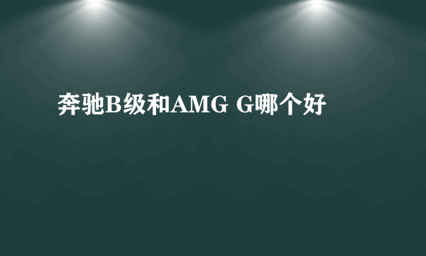 奔驰B级和AMG G哪个好