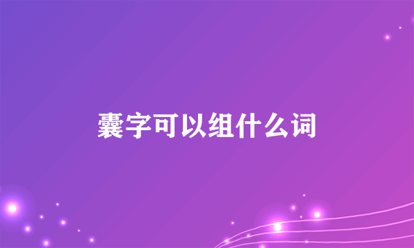囊字可以组什么词