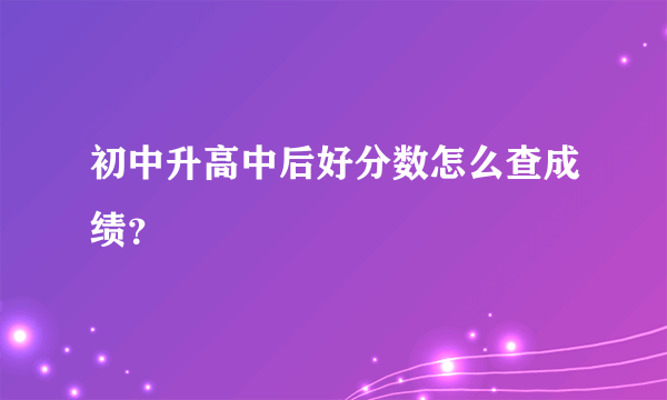 初中升高中后好分数怎么查成绩？