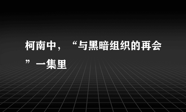 柯南中，“与黑暗组织的再会”一集里