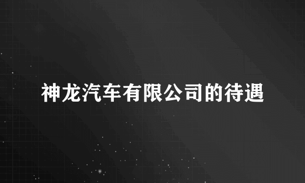 神龙汽车有限公司的待遇