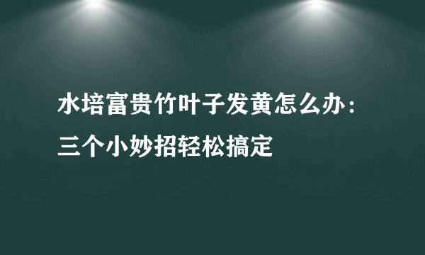 水培富贵竹叶子发黄怎么办：三个小妙招轻松搞定