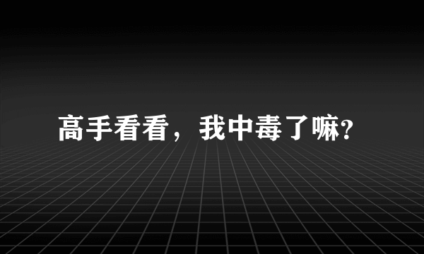 高手看看，我中毒了嘛？